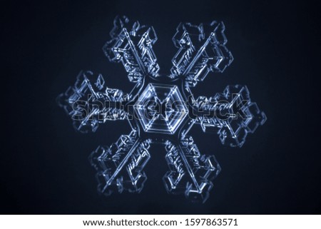 
real snowflake . microscope shot