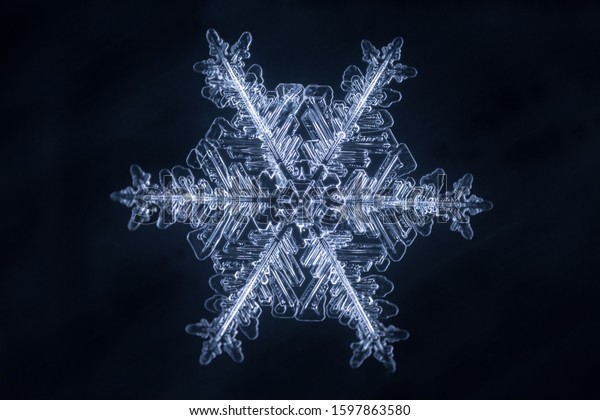 Real Snowflake Microscope Shot Stock Photo 1597863580 | Shutterstock