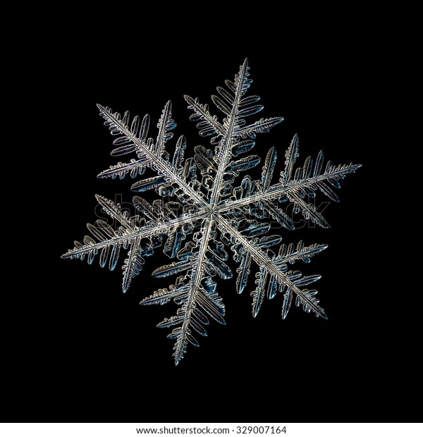 Real Snowflake Photo Single Stellar Dendrite Stock Photo (Edit Now ...