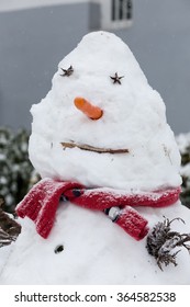 A Real Snowman. Detail Of A Head With A Carrot