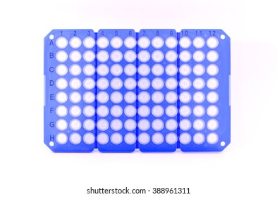 Real Time PCR Plate