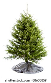 Real Undecorated Christmas Tree Isolated On A White Background