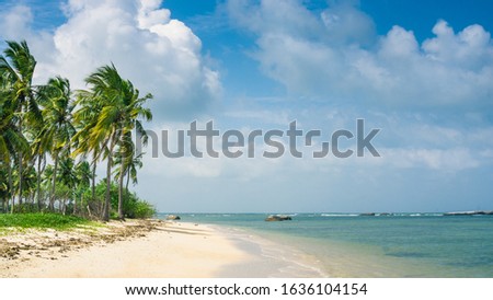 Real untouched tropical beach on a Sri Lanka's east coast. Pasikuda beach