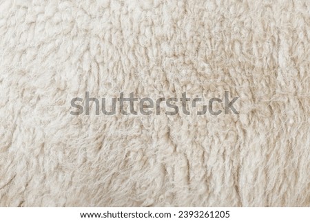 real white sheep wool texture for pattern and background.