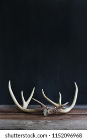 Real white tail deer antlers over a rustic wooden table against a black background used by hunters when hunting to rattle in other large bucks. Free space for text.
