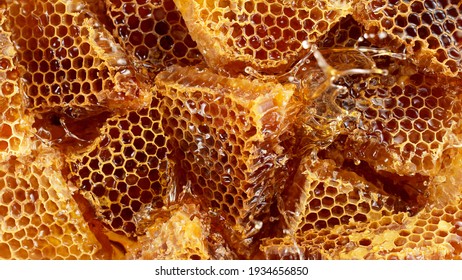 Realistic bee wax combs with splashing liquid honey, closeup food background