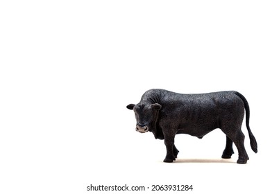 Realistic Black Bull toy. Black Angus is a breed of beef cattle. Isolate on a white background