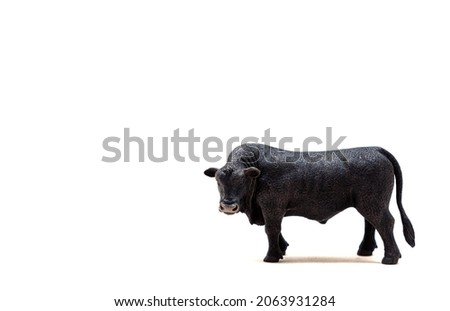 Realistic Black Bull toy. Black Angus is a breed of beef cattle. Isolate on a white background