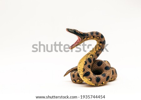 Realistic boa constrictor toy made of plastic. Toy python isolated on a white background