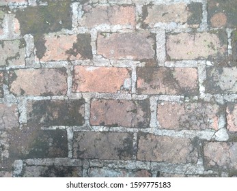 Realistic bricks texture with cement