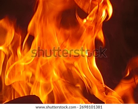 Realistic fire flame background

High-resolution photograph of real fire flames captured in vivid orange and yellow tones against a dark background. The image displays natural movement and texture