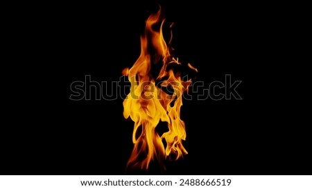 Realistic fire flames creating a hellish scene on black background, intense and fiery.