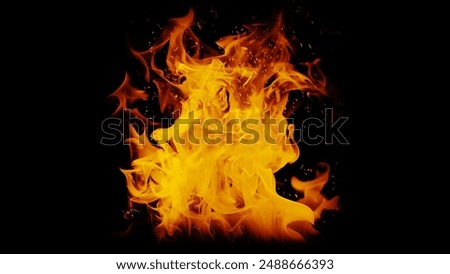 Realistic fire flames roaring, creating hellish scene and powerful blaze on black.