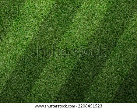 Realistic Grass Texture for Garden, Mockup, Sports and Football Pitch with Mowing Pattern