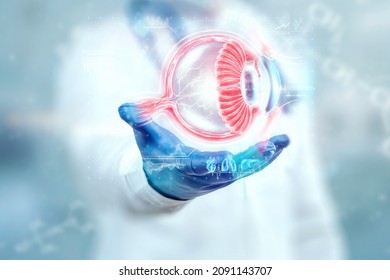 Realistic human eye hologram, doctor checks eyesight. Vision concept, laser eye surgery, catheract, ostegmatism, modern ophthalmologist - Shutterstock ID 2091143707