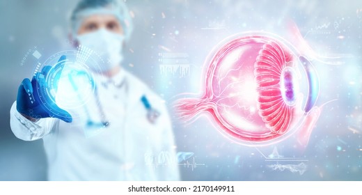 3,598 Anatomy Hologram Images, Stock Photos & Vectors | Shutterstock