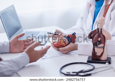realistic looking heart model in hands of doctor is symbol of campaign to care for the health of heart disease patients and encourage people at risk of heart disease to come in for regular check-ups.