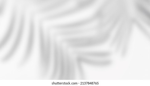 Realistic and minimalist blurred natural light windows, leaves shadow overlay on wall paper texture, abstract background, summer, spring, autumn for product presentation podium and mockup seasonal - Shutterstock ID 2137848765