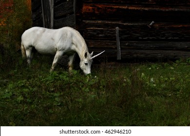 A realistic mythical unicorn grazes in a grassy field beside a barn in Canada