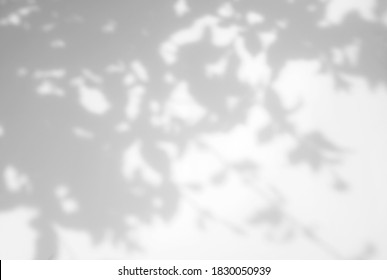 Realistic and organic leaves natural shadow overlay effect on white texture background, for overlay on product presentation, backdrop and mockup
