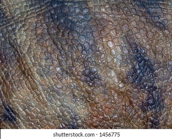 Realistic Replica Of Dinosaur Skin