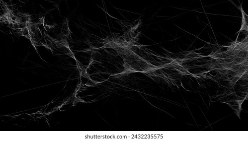 realistic Spider's web black background 