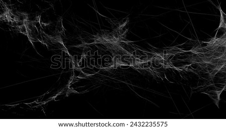 realistic Spider's web black background 