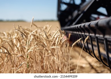 Reaper harvester harvests on the field close up. Combine harvester collects grain close up. - Powered by Shutterstock