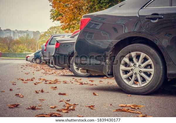 Rear bumpers of cars in the\
Parking lot with fallen autumn leaves. Photo from the side. Car\
parking