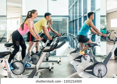 Rear Low-angle View Of Two Fit Women With An Active Lifestyle Burning Calories During Indoor Cycling Class In A Modern Fitness Club