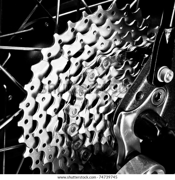 Rear Mountain Bike Cassette On Wheel Stock Photo (Edit Now) 74739745