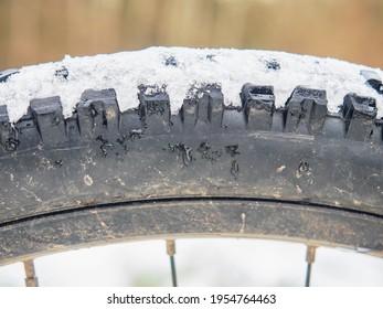 Rear Mtb Wheel With Fat Tire For Extreme Terrain.  Close Up Of A Tire Of The Bicycle. The Bike In The Winter Snow Place