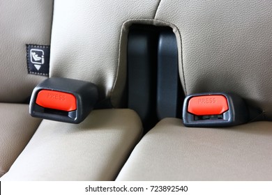 Rear Seat Safety Belt  In Car