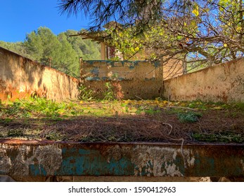 Rear Of Truck Load Food By Nature. Nature Recovering The Land Stolen By The Quarry. Green Moss On The Back Of The Truck