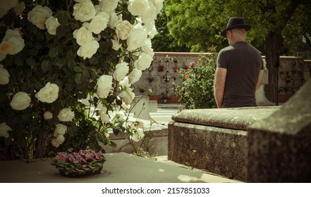 Rear View Of Adult Man Mourning In Cemetery. Madrid, Spain