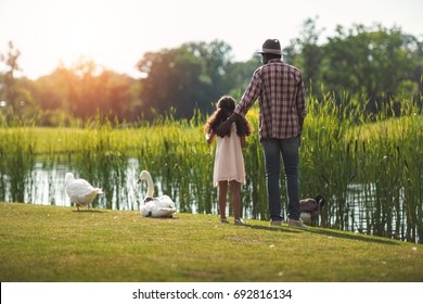 Rear View Of African American Granddaughter And Her Grandfather Standing On Pond With Birds