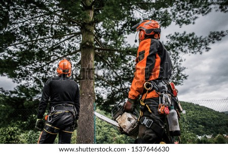 Similar – Arborist with tools in the wind