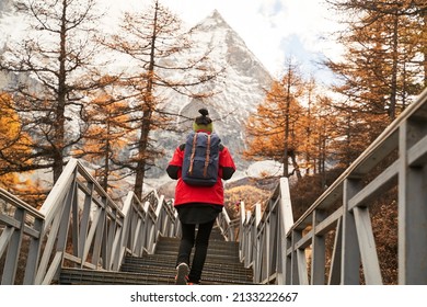 rear view of an asian woman female tourist backpacker climbing up stairs leading to mount chenrezig (or xian nai ri) - Powered by Shutterstock