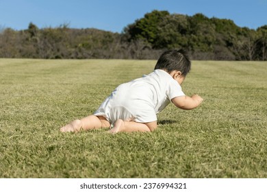 Rear view of a baby crawling in a grassy park (boy, 0 years old, 10 months old, Japanese) - Powered by Shutterstock