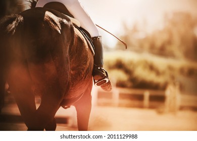  Rear View Of A Bay Horse With A Rider In The Saddle, Which Gallops Through The Arena On A Sunny Autumn Day. A Rider In Leather Boots With Spurs And Holding A Whip. Horse Riding. Equestrian Sports.