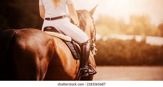 A rear view of a bay horse with a rider in the saddle, which gallops on a sunny day. Equestrian sports. Horse riding. Equestrian life.