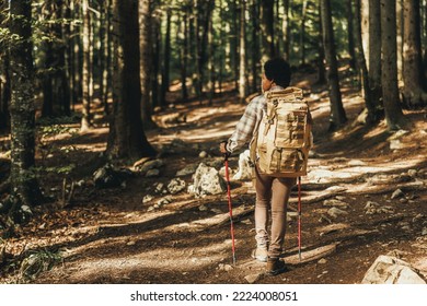 Rear View Of A Black Woman Hiking Through The Forest In A Beautiful Sunny Autumn Day.