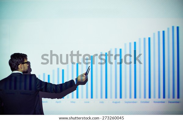 Rear View Businessman Explaining Chart On Stock Photo 273260045 ...
