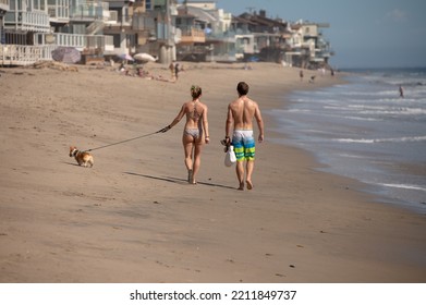 Rear View Of Couple Seen Walking Dog On Beach