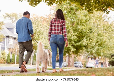 Rear View Of Couple Walking Dog Along Suburban Street