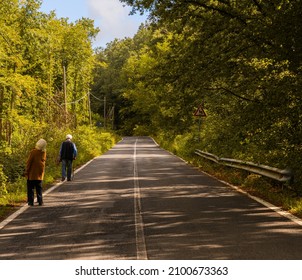 A Rear View Of An Elderly Couple Walking On Highway Road