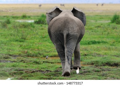 Were mistaken, Asian ass rear view apologise, but Pity, that Asian ass rear view consider