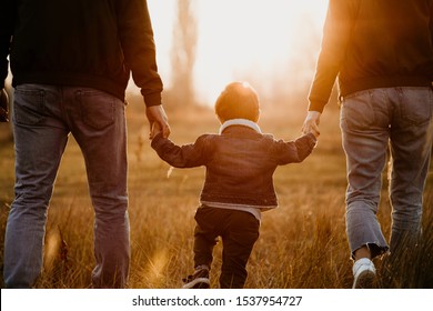 Rear view of family holding hands and walking at sunset in autumn meadow.