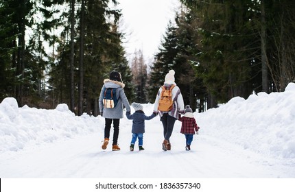 Rear View Of Family With Two Small Children In Winter Nature, Walking In The Snow.