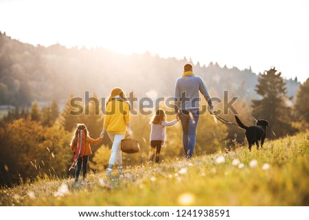 Similar – Image, Stock Photo Together Animal family